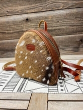 Load image into Gallery viewer, Axis Deer Hair on Hide